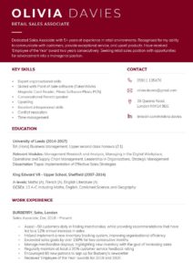 modern CV templates for 2022 Free