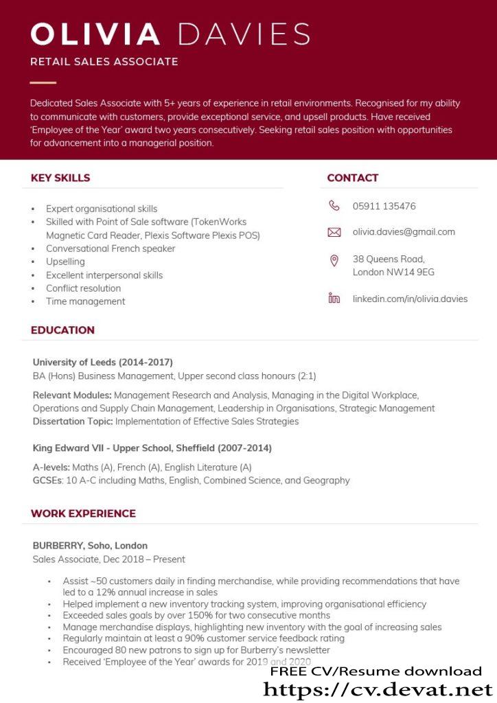 modern CV templates for 2022 Free 1