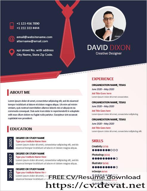 professional resume template for ms word