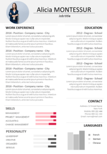 CV Resume Manager word and google docs Download