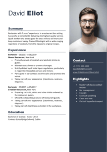 CV Template in Word and PDF Format for Free