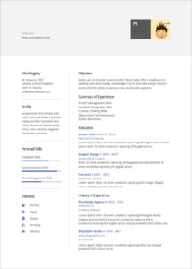 DOC & DOCX Perfect Resume Template download