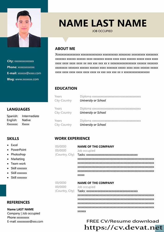 resume format for job fresher word file download