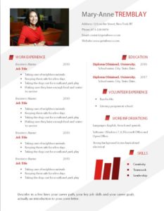 Free Simple Professional Resume Template