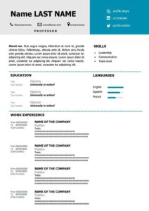 General manager CV example word