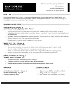 Original Professional Resume Word Template Black
