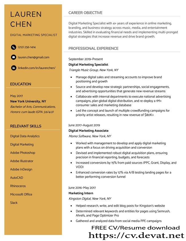 Professional CV Template word