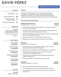 Professional Resume Template Blue