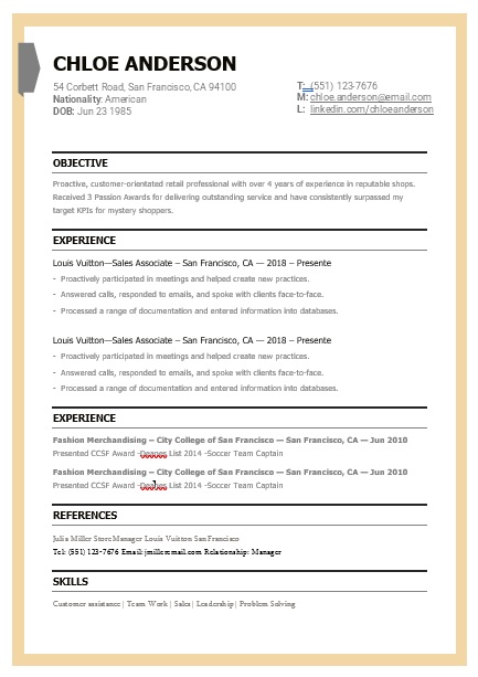 Professional Resume Template