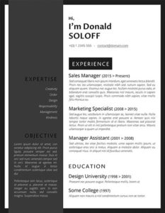 The Classic Pro CV – A Professional Resume Template