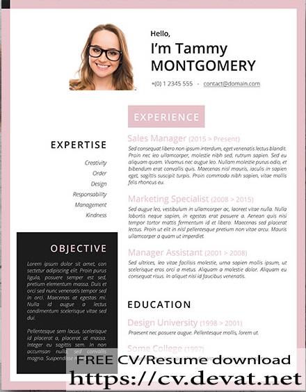 The Feminine Microsoft Word Resume A Free Template For female or women