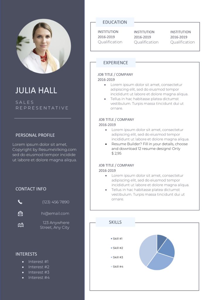 professional resume Template 2 1