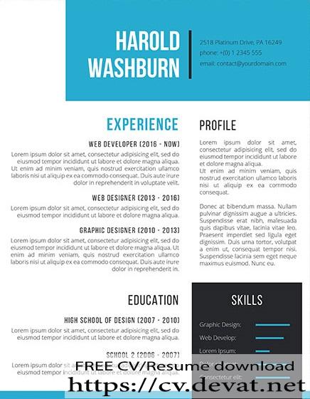 the visionaire resume template