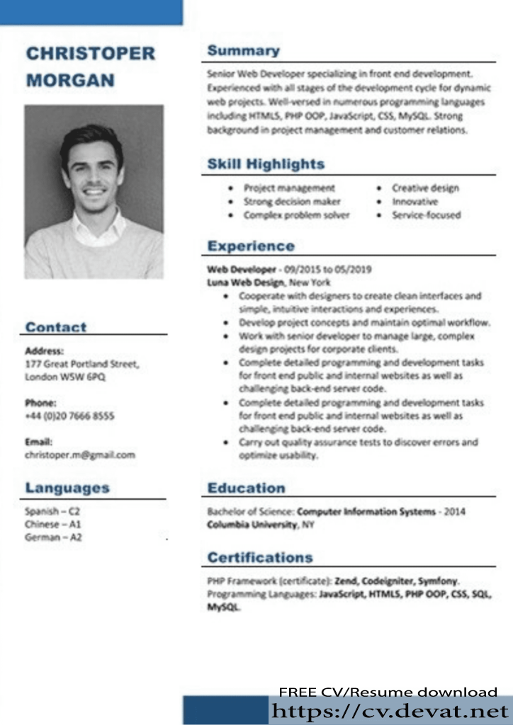 Best English cv word format
