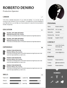 Free Clear CV Template Download