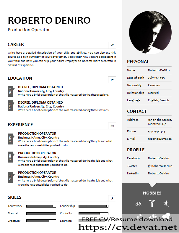 Free Clear CV Template Download