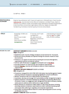 information technology Word CV