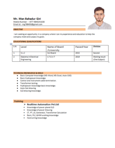 ATS Friendly CV simple