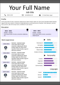 English Resume CV Classic